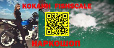 спиды Волгодонск