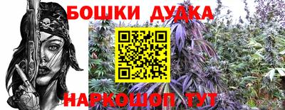 спиды Волгодонск