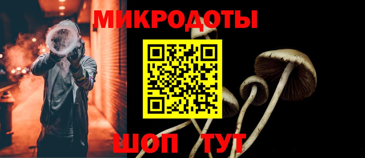 Галлюциногенные грибы Psilocybe  Вход с VPN  Канск 